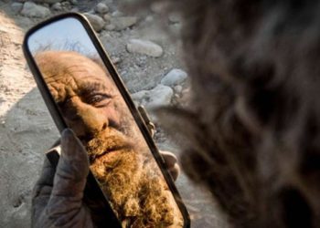 Amou Haji | Bignewslive