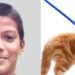 pet cat | Bignewslive
