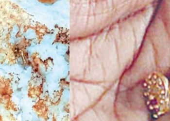 Serial actress | Bignewslive