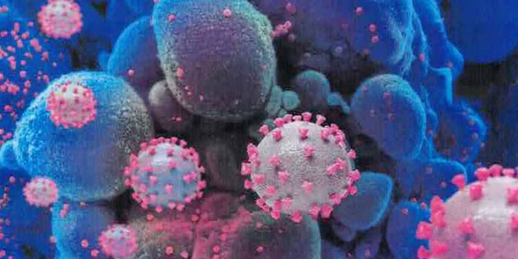 രാജ്യത്ത് കൊവിഡ് 19 വ്യാപനം അതിതീവ്രം;നിയന്ത്രണങ്ങൾ കടുപ്പിച്ച് സംസ്ഥാനങ്ങൾ