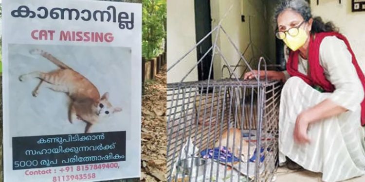 പതിനെട്ട് ദിവസത്തെ കാത്തിരിപ്പ്! ‘കുഞ്ഞുകുട്ടന്‍’ ഡെയ്‌സിയ്ക്കരികിലെത്തി: കണ്ടെത്തിയവര്‍ക്ക് അയ്യായിരം രൂപ പാരിതോഷികവും നല്‍കി