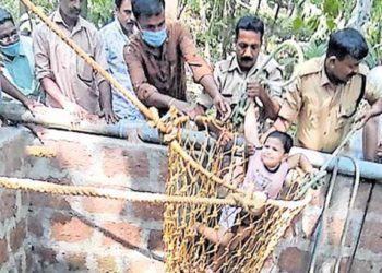 Grandmother | Bignewslive