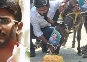 Donkey | bignewslive