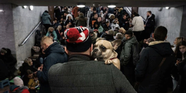 Ukraine | Bignewslive