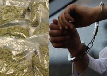 ക്ഷേത്ര ദർശനത്തിനെന്ന വ്യാജേനെ കഞ്ചാവ് കടത്ത്; കൊല്ലത്ത് ദമ്പതികൾ പിടിയിൽ