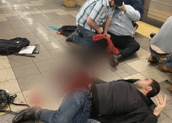 Brooklyn | Bignewslive