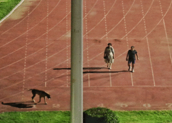 Newdelhi | Bignewslive