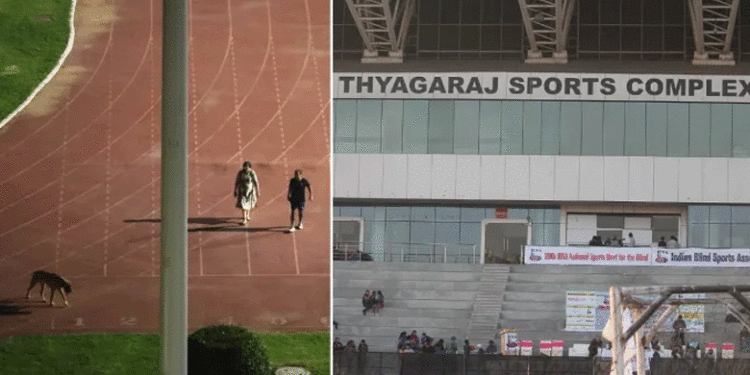 Stadium | Bignewslive