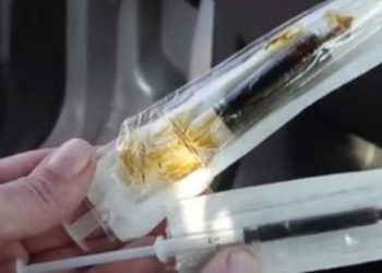 Hashish Oil | Bignewslive