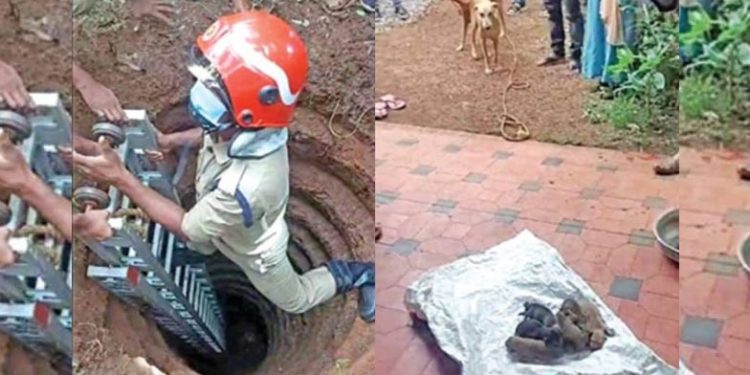 Slum dog | Bignewslive