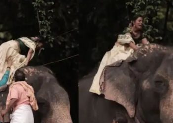 അയ്യോ പേടിയാകുന്നേ… ആനപ്പുറത്തിരുന്ന് അലറിക്കരഞ്ഞ് വധു