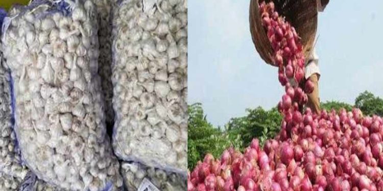 onion | bignewskerala