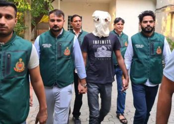 സമ്പന്ന വീടുകളിൽ മോഷണം; പണം പാവങ്ങൾക്ക് വിതരണം ചെയ്യും; ഒടുവിൽ ‘കായംകുളം കൊച്ചുണ്ണി’ മോഡൽ കള്ളൻ പിടിയിൽ