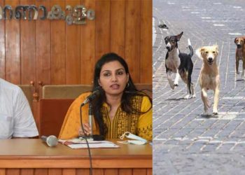 എല്ലാ വളര്‍ത്തുനായകള്‍ക്കും എറണാകുളത്ത് ഒക്ടോബര്‍ 30ന് മുന്‍പ് ലൈസന്‍സ് നിര്‍ബന്ധം; വാക്‌സിനും ബൂസ്റ്ററും ഉറപ്പാക്കണമെന്നും കളക്ടര്‍