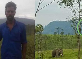 കാട്ടാനകളില്‍ നിന്നും രക്ഷപ്പെടാന്‍ മരത്തില്‍ കയറി ഒളിച്ചു; സജി മരത്തില്‍ കുടുങ്ങി പോയത് ഒന്നര മണിക്കൂറോളം