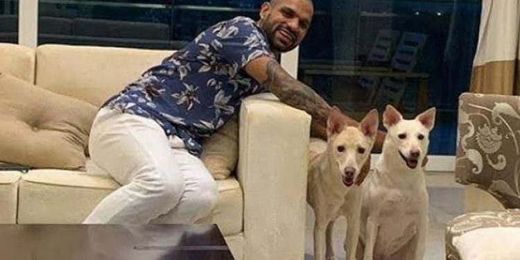 Shikhar Dhawan | Bignewslive