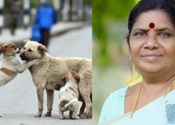 പഞ്ചായത്തില്‍ പത്തില്‍ കൂടുതല്‍ ആളുകള്‍ക്ക് തെരുവുനായ കടിയേറ്റാല്‍ ഹോട്ട് സ്‌പോട്ടായി പ്രഖ്യാപിക്കും; എബിസി പദ്ധതി നിര്‍ത്തിവെച്ചത് പ്രതിസന്ധിയായി എന്നം മന്ത്രി