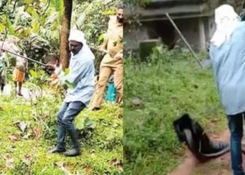 เดเดฆเตเดฏเดฎเดพเดฏเดฟ เดตเดจเด เดตเดเตเดชเตเดชเต เดจเดฟเดฏเดฎเดเตเดเตพ เดชเดพเดฒเดฟเดเตเดเต เดชเดพเดฎเตเดชเดฟเดจเต เดชเดฟเดเดฟเดเตเดเต เดตเดพเดต เดธเตเดฐเตเดทเต; เดเตเตพเดธเต เดเตเดฃเตเดเต เดชเดฟเดเดฟเดเตเดเดฟเดฏเดคเต เดฐเดพเดเดตเตเดฎเตเดชเดพเดฒเดฏเต