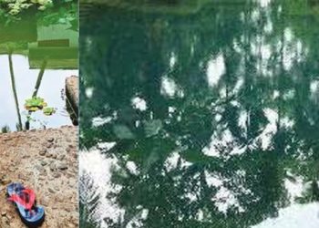 drowned to death | Bignewslive