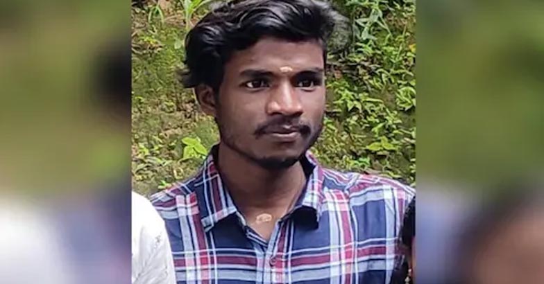 Wild Elephant | Bignewslive