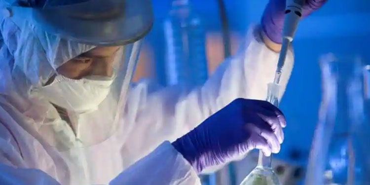 lab