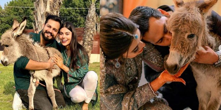 Pakistani YouTuber | Bignewslive