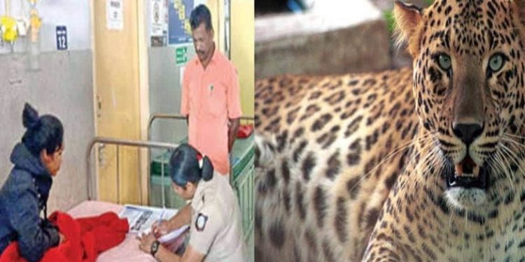 Leopard jumps | Bignewslive