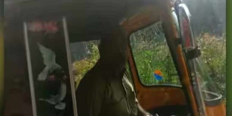 auto driver| bignewslive