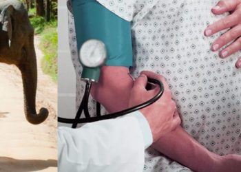 Pregnant lady | Bignewslive