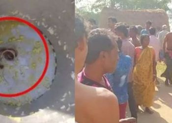 ഉച്ചഭക്ഷണത്തില് പാമ്പ്: ബംഗാളിലെ വിദ്യാര്ഥികള് ആശുപത്രിയില്, സ്കൂളിനെതിരെ പ്രതിഷേധം