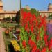 mugal garden| bigbnewslive