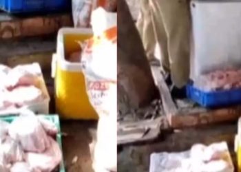 500 കിലോ പഴകിയ ഇറച്ചി കളമശ്ശേരിയില്‍ പിടികൂടി: ഷവര്‍മ ഉണ്ടാക്കാന്‍ എത്തിച്ച ഇറച്ചി അഴുകിയ നിലയില്‍