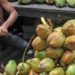 coconut price | Bignewslive