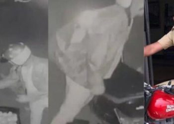 Mango Theft | Bignewslive