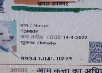 ജാതി സര്‍ട്ടിഫിക്കറ്റിന് അപേക്ഷ നല്‍കി ‘ടോമി നായ’; ആധാര്‍ കാര്‍ഡും ഹാജരാക്കി;  പോലീസ് അന്വേഷണം