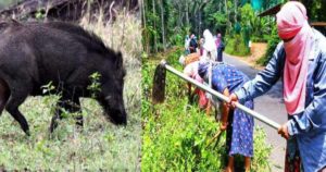 thozhilurappu| bignewslive