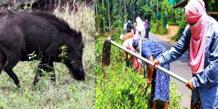 thozhilurappu| bignewslive