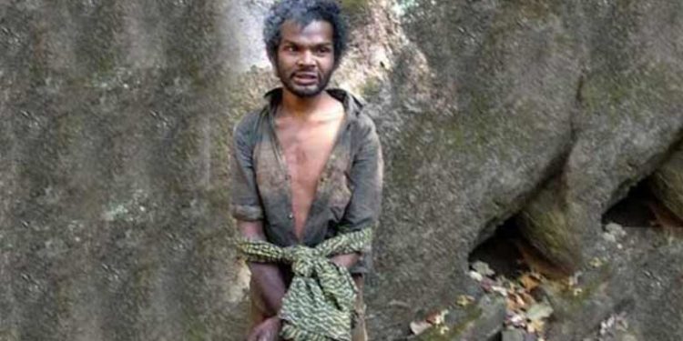 മധു വധക്കേസ്: 14 പ്രതികൾ കുറ്റക്കാർ, രണ്ട് പേരെ വെറുതെവിട്ടു; ശിക്ഷ നാളെ