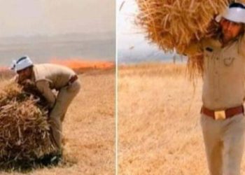 ഗോതമ്പ് പാടത്ത് തീപ്പിടിച്ചു: കറ്റകള്‍ ചുമന്ന് സുരക്ഷിതമായ സ്ഥലത്ത് എത്തിച്ച് നല്‍കി പോലീസുകാരന്‍; കൈയ്യടിച്ച് സോഷ്യല്‍ലോകം