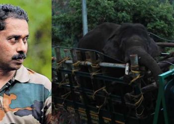 അരിക്കൊമ്പന് 110 കി.മീ സഞ്ചരിച്ചാൽ ചിന്നക്കനാലിലെത്താം; നൂറിലധികം കി.മീ താണ്ടി ആനകൾ മടങ്ങി വന്ന ചരിത്രമുണ്ടെന്ന് ഡോ. അരുൺ സഖറിയ