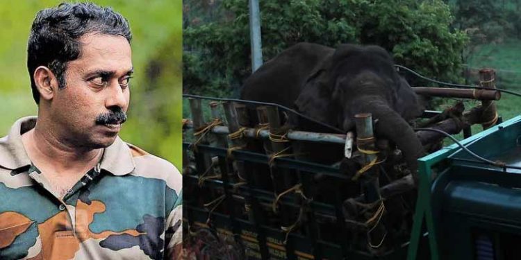 അരിക്കൊമ്പന് 110 കി.മീ സഞ്ചരിച്ചാൽ ചിന്നക്കനാലിലെത്താം; നൂറിലധികം കി.മീ താണ്ടി ആനകൾ മടങ്ങി വന്ന ചരിത്രമുണ്ടെന്ന് ഡോ. അരുൺ സഖറിയ