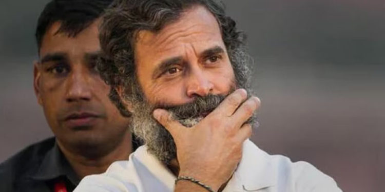 rahul gandhi | bignewslive