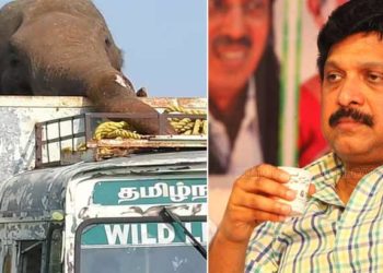 33 മണിക്കൂർ മുമ്പാണ് അരിക്കൊമ്പൻ വെള്ളം കുടിച്ചത്; ആനപ്രേമികൾ പരമദ്രോഹികൾ;ആന ചരിഞ്ഞാൽ പൂർണ്ണ ഉത്തരവാദിത്തം ആനപ്രേമികൾക്ക്: കെബി ഗണേഷ് കുമാർ