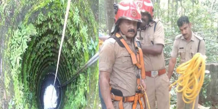 fire force| bignewslive