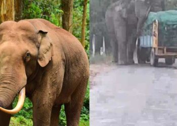 padayappa| bignewslive