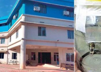 ഭീതി ഒഴിയുന്നില്ല; പെരിന്തൽമണ്ണ ജില്ലാ ആശുപത്രിയിൽ വീണ്ടും പാമ്പിൻ കുഞ്ഞിനെ കണ്ടെത്തി; രോഗികളെ കെട്ടിടത്തിൽ നിന്ന് ഒഴിപ്പിച്ചു
