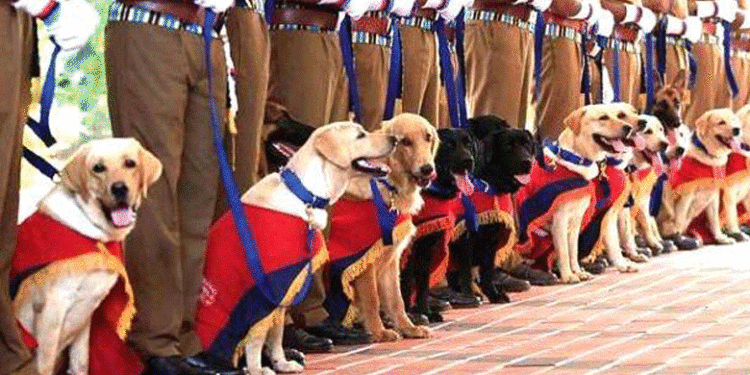 പോലീസ് നായകളെ വാങ്ങിയതില് ക്രമക്കേട്; ഡോഗ് സ്ക്വാഡ് നോഡല് ഓഫീസര്ക്ക് സസ്പെന്ഷന്