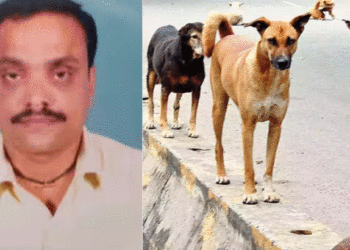 കോഴിക്കോട് തെരുവ് നായ കുറുകെ ചാടി ഓട്ടോ മറിഞ്ഞു; ഡ്രൈവര് മരിച്ചു