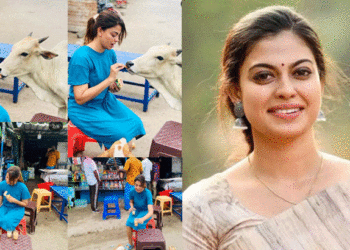 ‘മനുഷ്യരേക്കാള്‍ സ്‌നേഹം മൃഗങ്ങള്‍ തിരിച്ചുതരും’ ; തെരുവ് മൃഗങ്ങള്‍ക്ക് ഭക്ഷണം കൊടുത്ത് അനുശ്രീ, വൈറലായി ചിത്രങ്ങള്‍