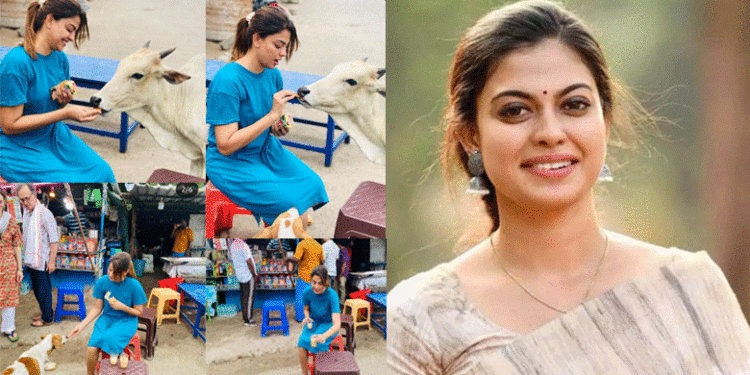 ‘മനുഷ്യരേക്കാള്‍ സ്‌നേഹം മൃഗങ്ങള്‍ തിരിച്ചുതരും’ ; തെരുവ് മൃഗങ്ങള്‍ക്ക് ഭക്ഷണം കൊടുത്ത് അനുശ്രീ, വൈറലായി ചിത്രങ്ങള്‍